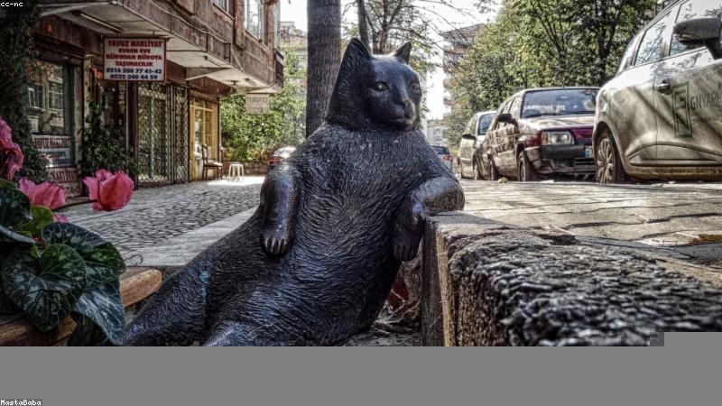 科学护肤指南：解锁日常护肤的黄金法则与实操技巧