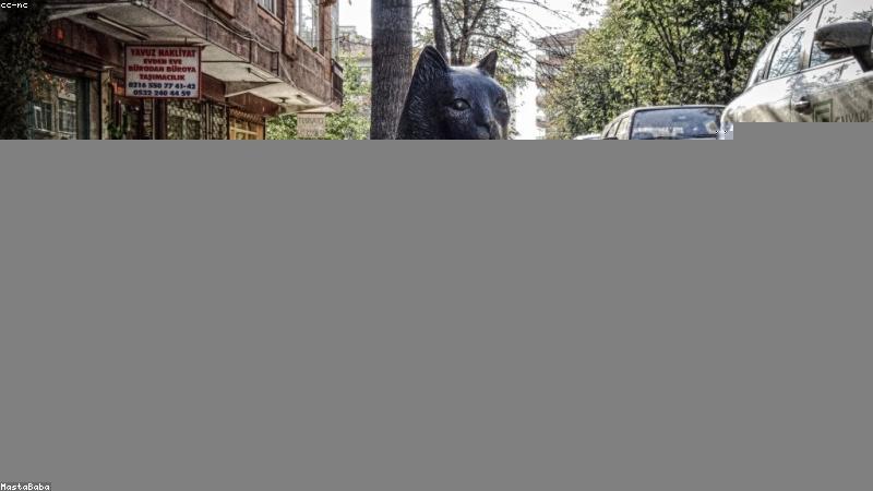 护肤成分大揭秘：科学分类与实用指南