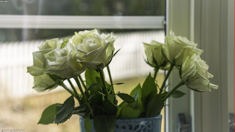 科学护肤指南：从成分到手法，解锁高效护肤新姿势