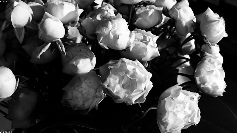 护肤成分大揭秘：科学分类与实用搭配指南