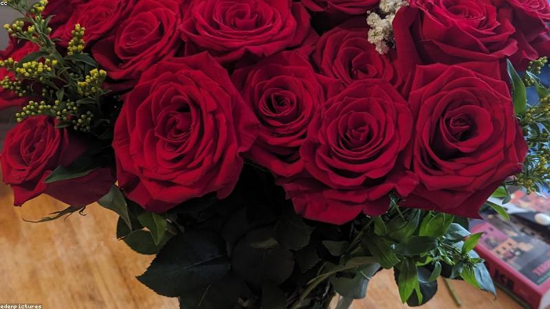 科学避坑指南：如何通过成分+实验读懂产品真实效果？