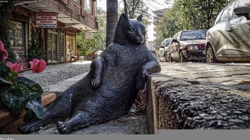 从成分到手法：科学护肤的5个黄金法则