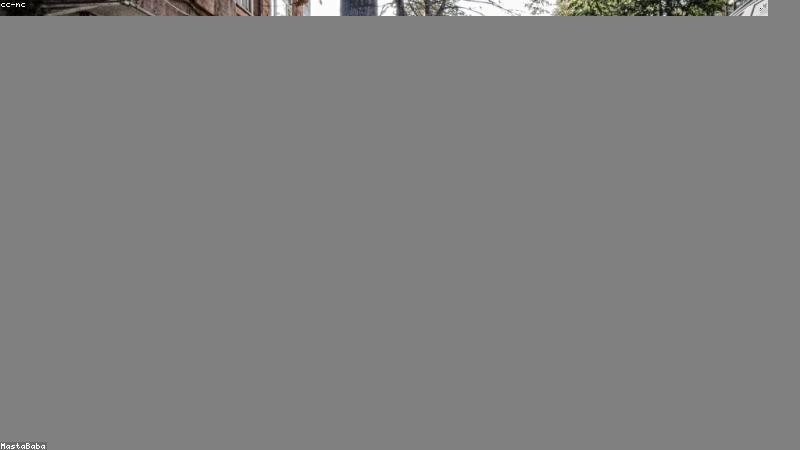 护肤成分大揭秘:科学分类与使用指南