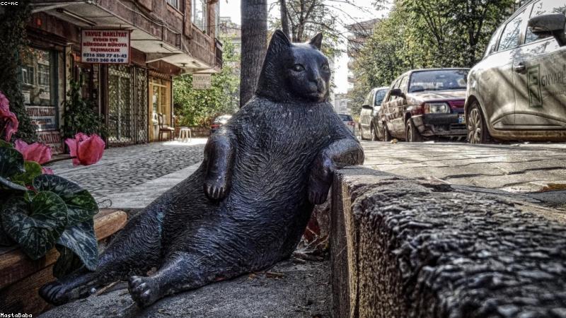 科学护肤指南：解锁肌肤年轻密码的5个关键步骤