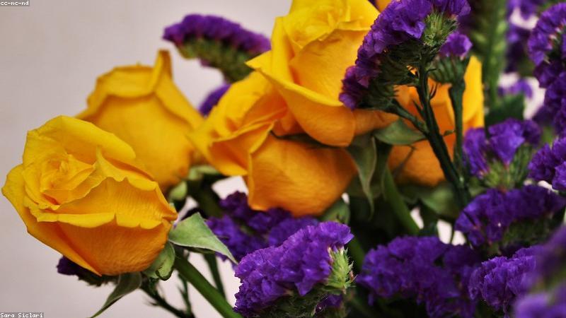 科学护肤全攻略：从成分到手法，解锁健康美肌密码