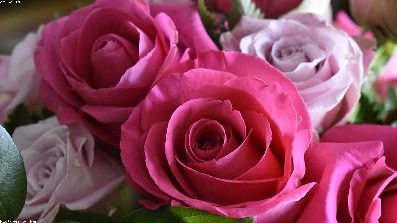 科学护肤指南：从成分到步骤，解锁健康美肌密码