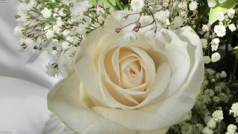 科学护肤指南：从成分到手法，解锁日常美容的黄金法则